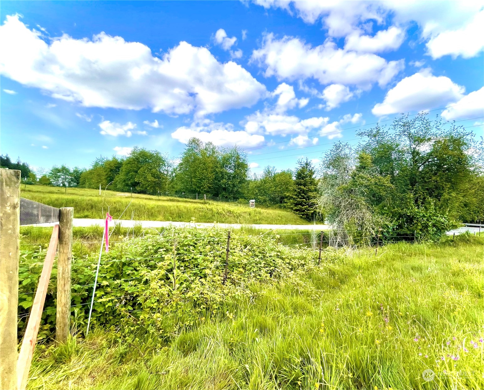 6609 Westside Highway Castle Rock, WA 98611 - Photo 6 of 8