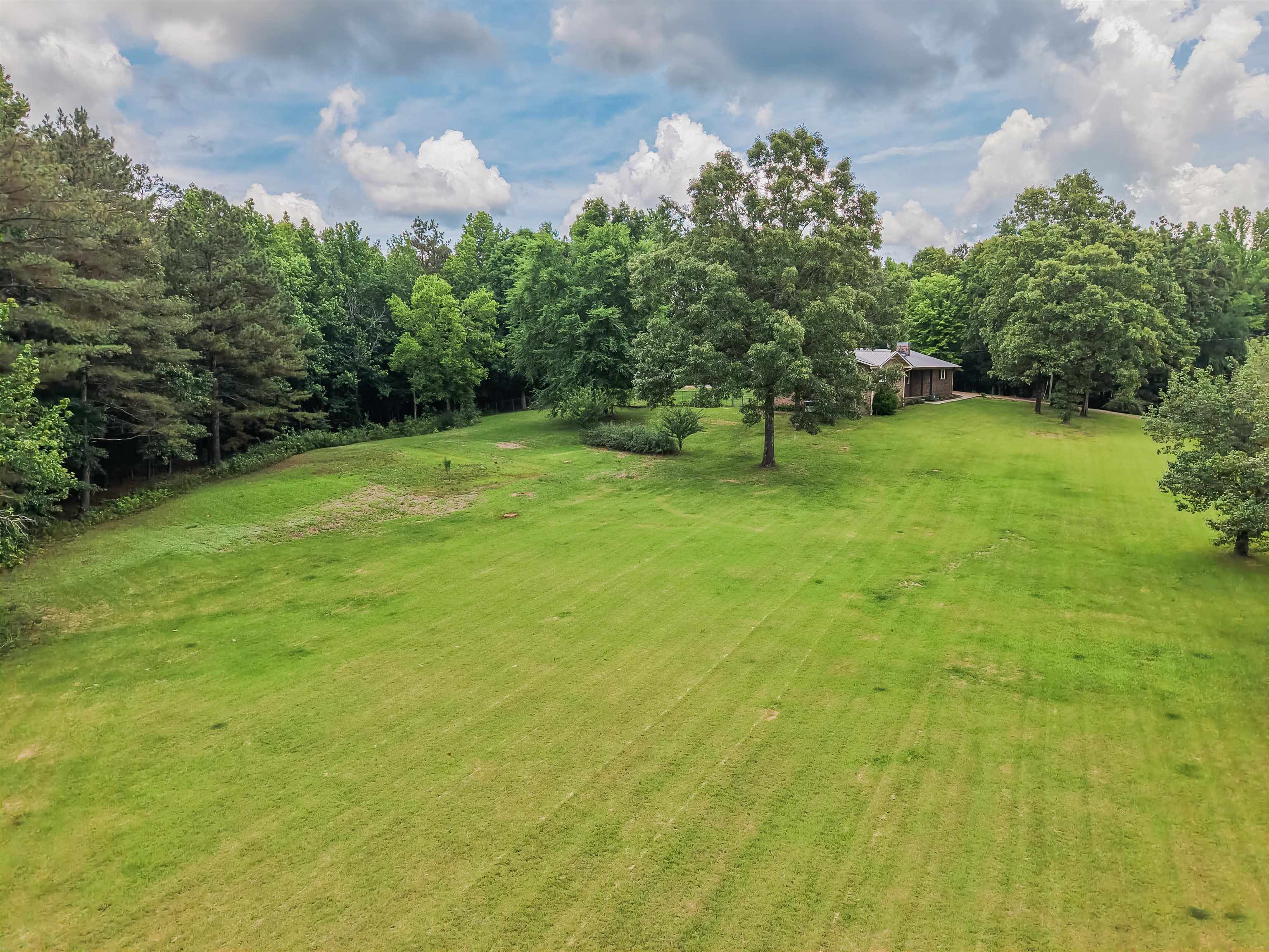 436 Skyline Road Selmer, TN 38375 - Photo 3 of 40 Expansive green space featuring a distant residence with a stone facade and covered porch, surrounded by mature trees