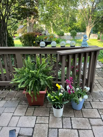 a garden with flowers in it