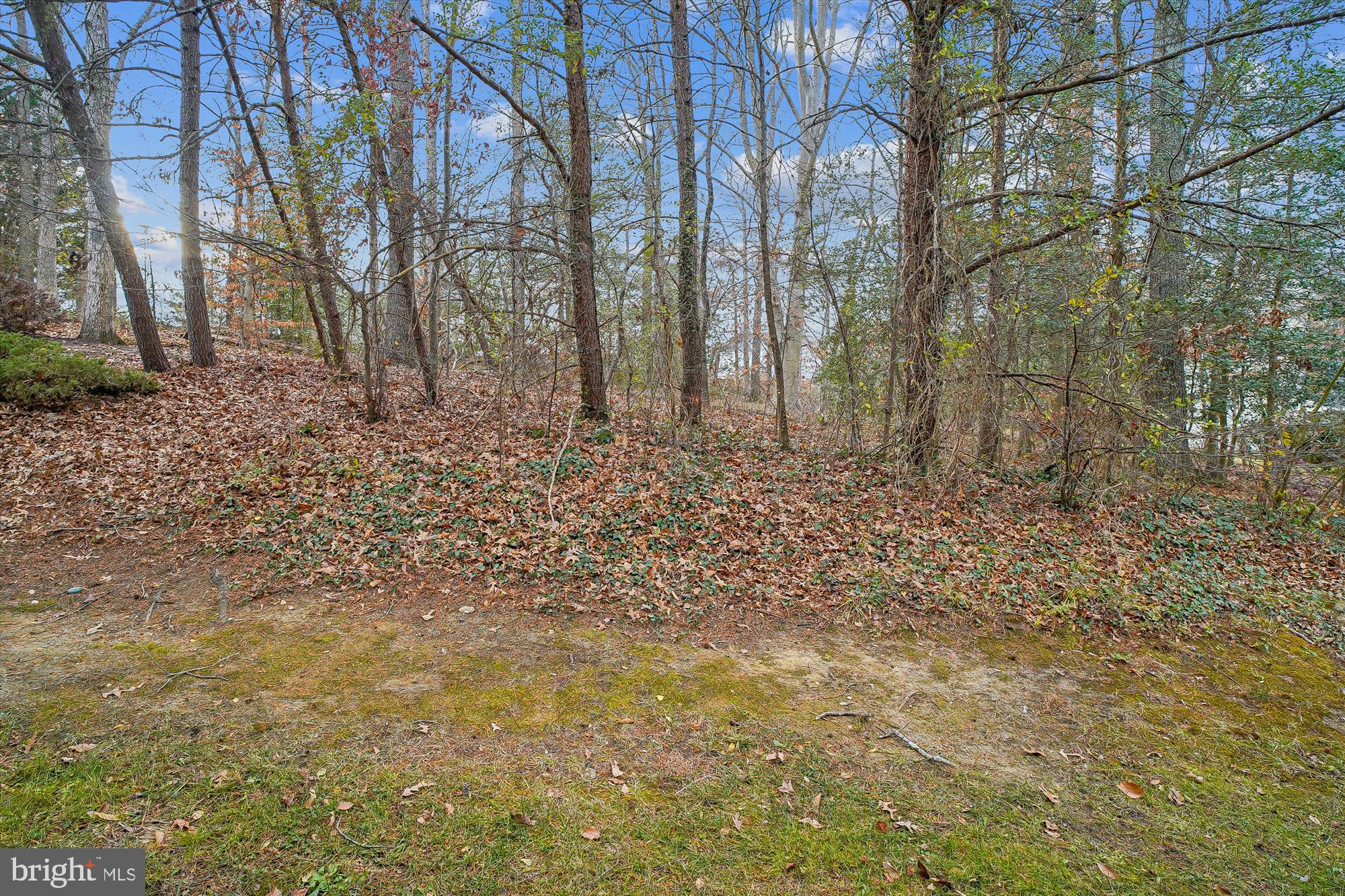 3232 Escapade Circle Riva, MD 21140 - Photo 29 of 38 a view of a yard with trees