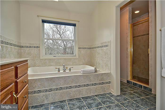 14927 Harrisville Road Mount Airy, MD 21771 - Photo 19 of 30 Bath (Master)