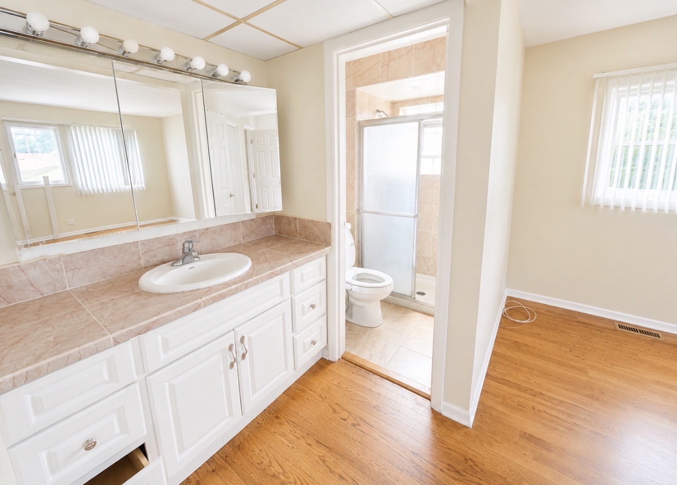 4840 Old Orchard Road, Unit 1 Skokie, IL 60077 - Photo 8 of 10