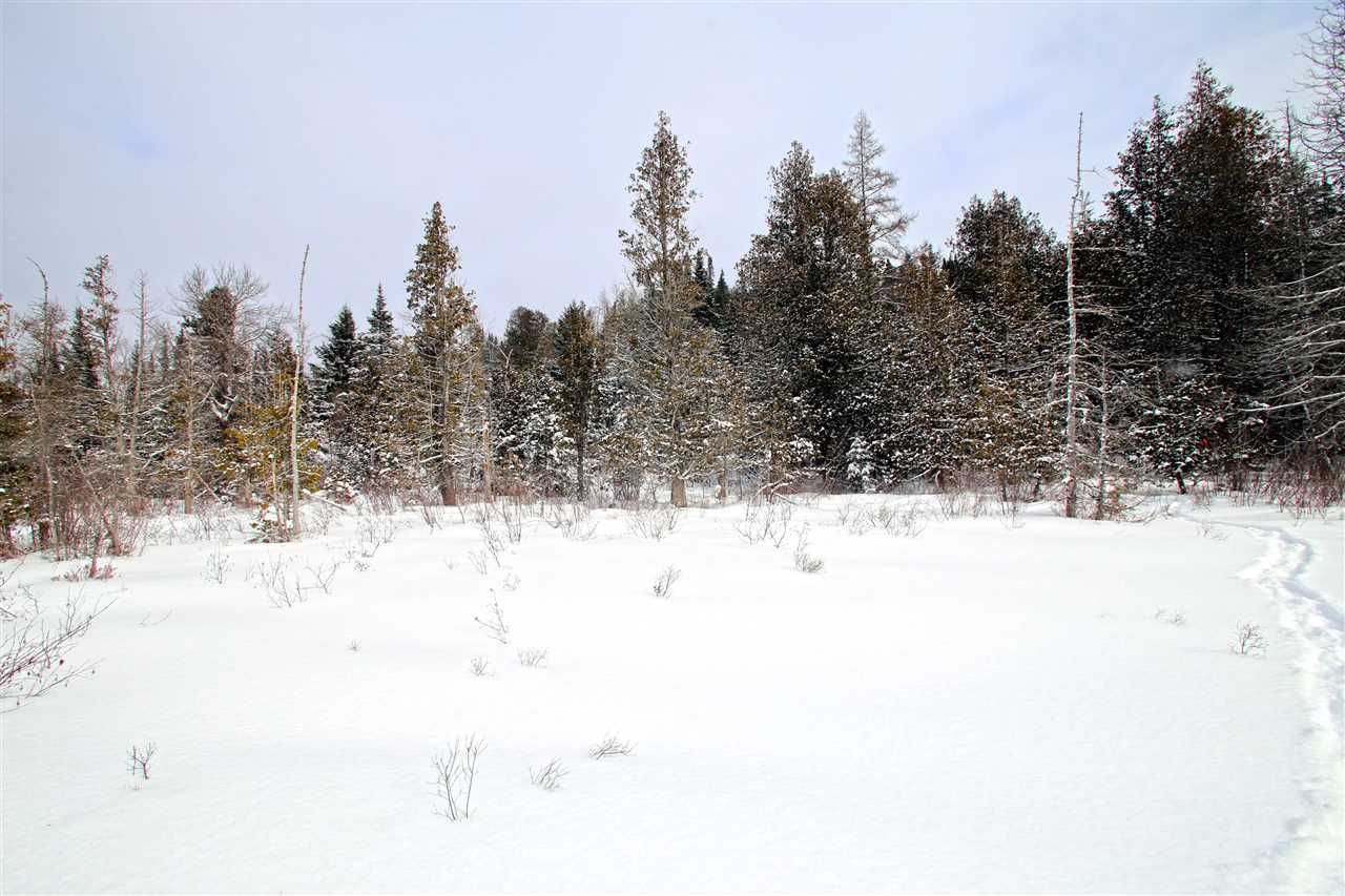 1947 Noyestar Road Walden, VT 05843 - Photo 24 of 40