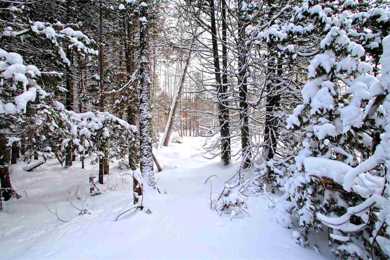 1947 Noyestar Road Walden, VT 05843 - Photo 33 of 40