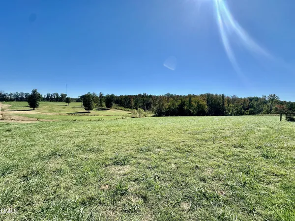 a view of a field with an ocean