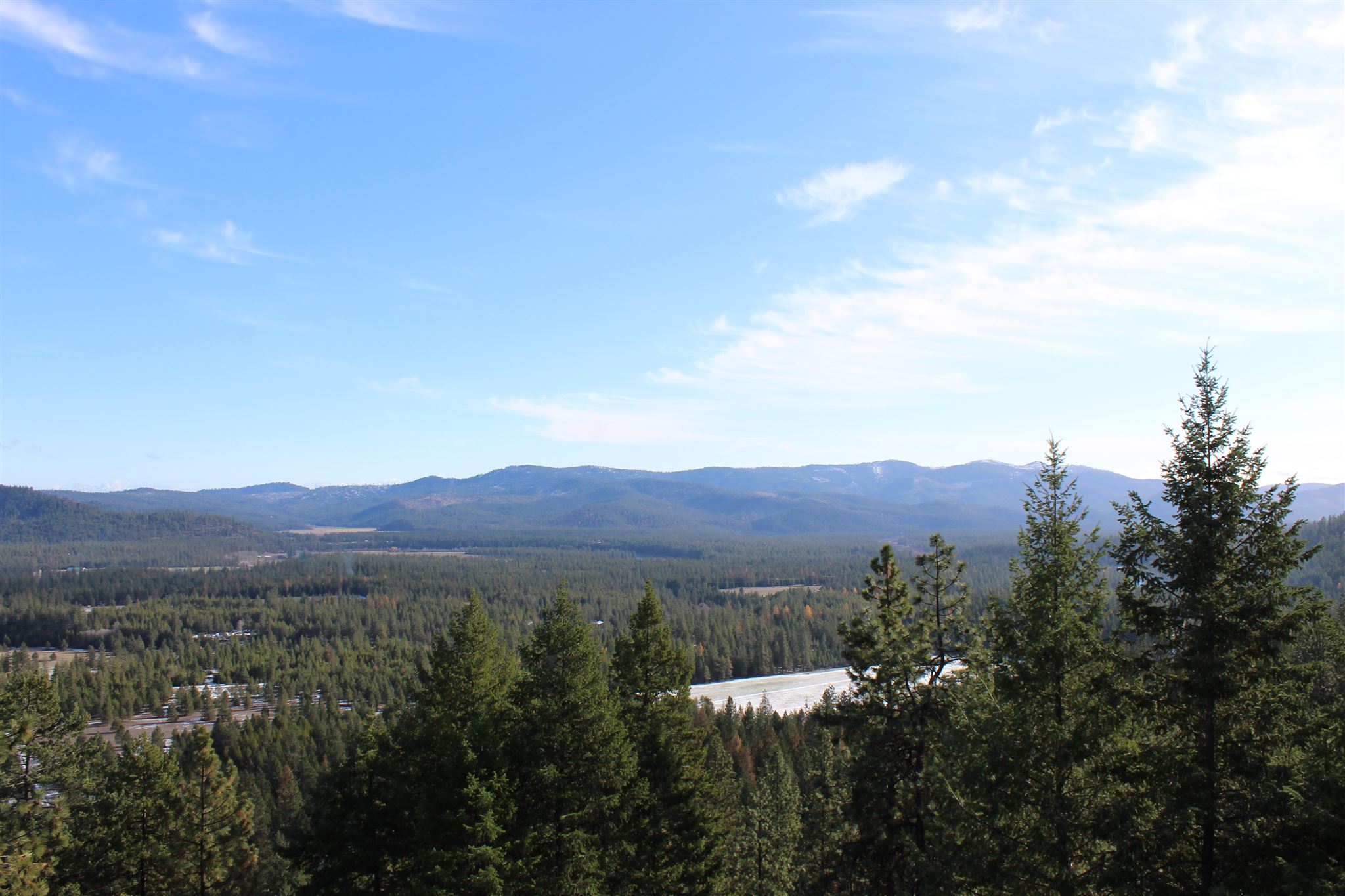 4356 Wild Trax Way Springdale, WA 99173 - Photo 3 of 11