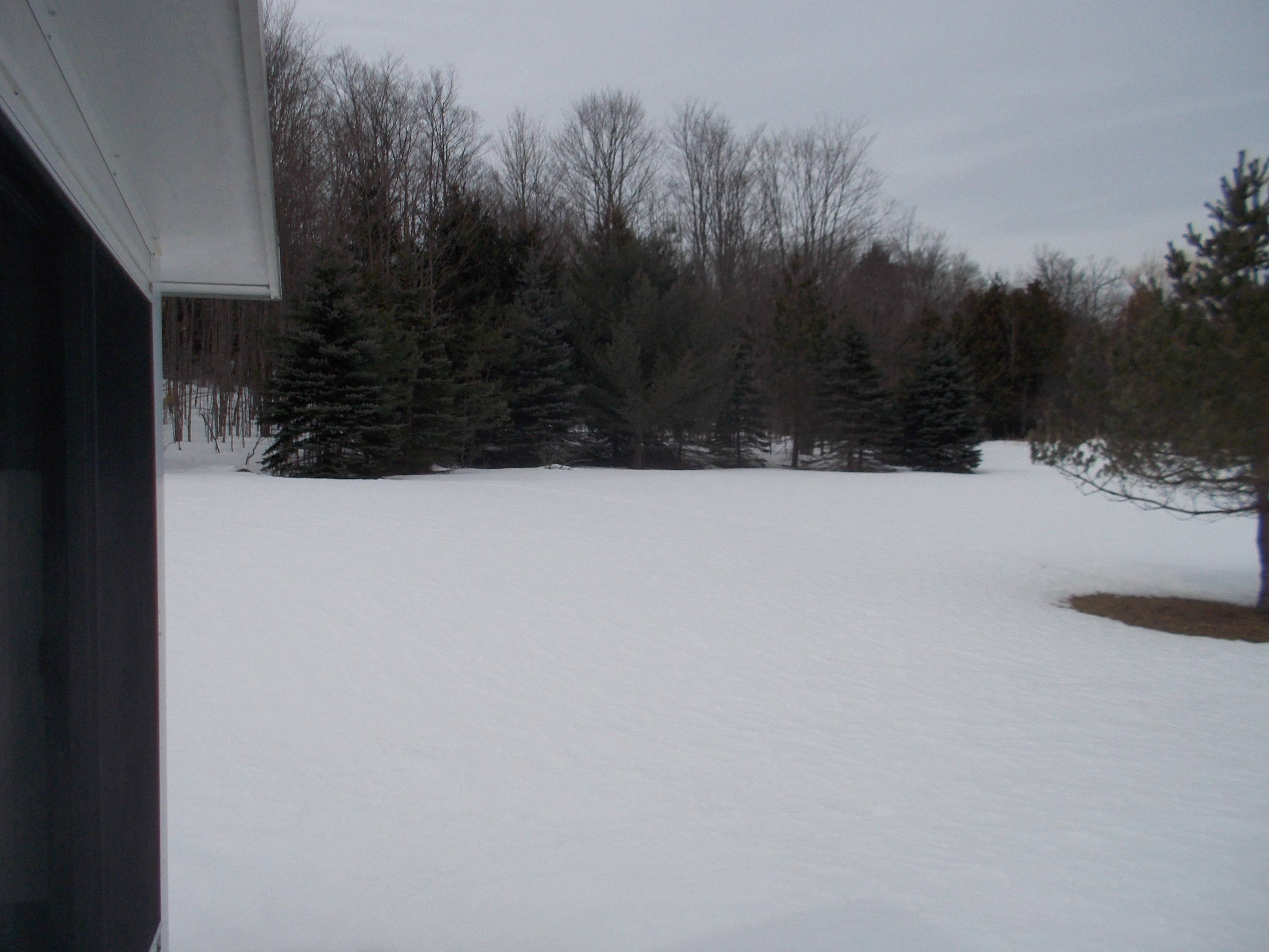 1010 Jackson Hill Road Gaylord, MI 49735 - Photo 7 of 49 Gallery Image 7