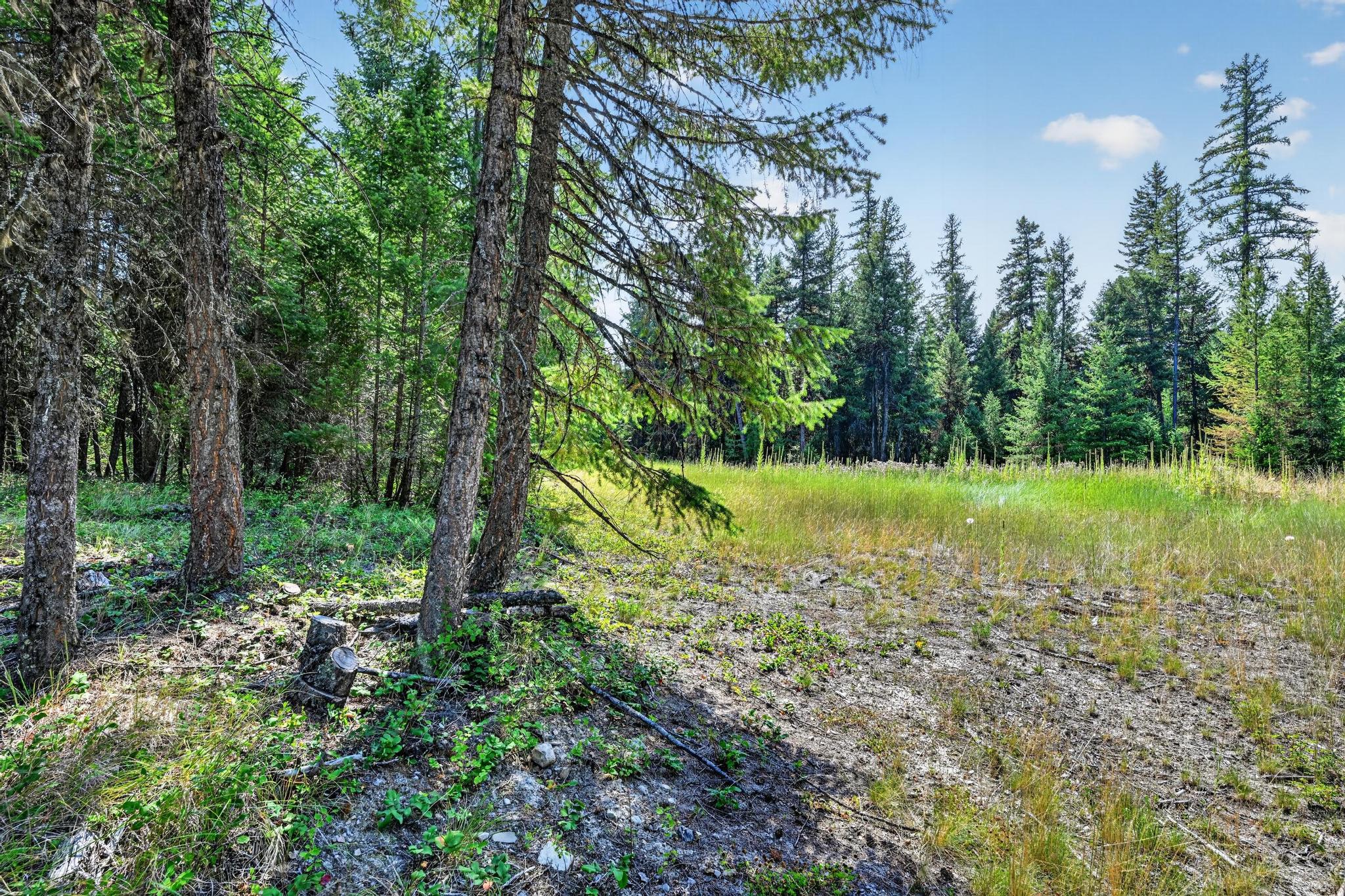Lot 5 Forest Ridge Road Eureka, MT 59917 - Photo 20 of 23 Gallery Image 20