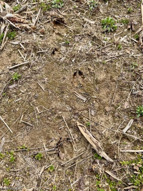 Tbd Chandler Road Dobson, NC 27017 - Photo 19 of 36