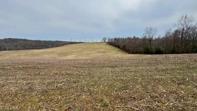 $550,000 | Tbd Chandler Road, Dobson, NC 27017