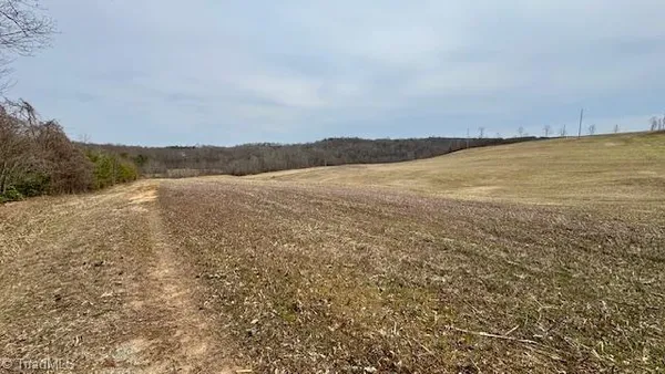 $508,000 | Tbd Chandler Road, Dobson, NC 27017