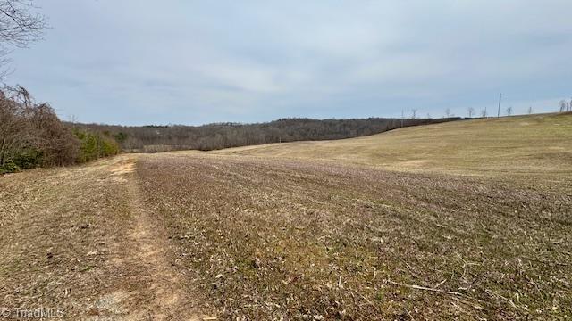 Tbd Chandler Road Dobson, NC 27017 - Photo 28 of 36
