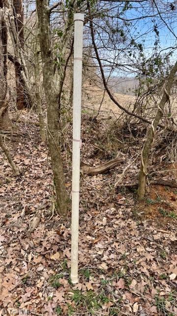 Tbd Chandler Road Dobson, NC 27017 - Photo 35 of 36 Corner Markers