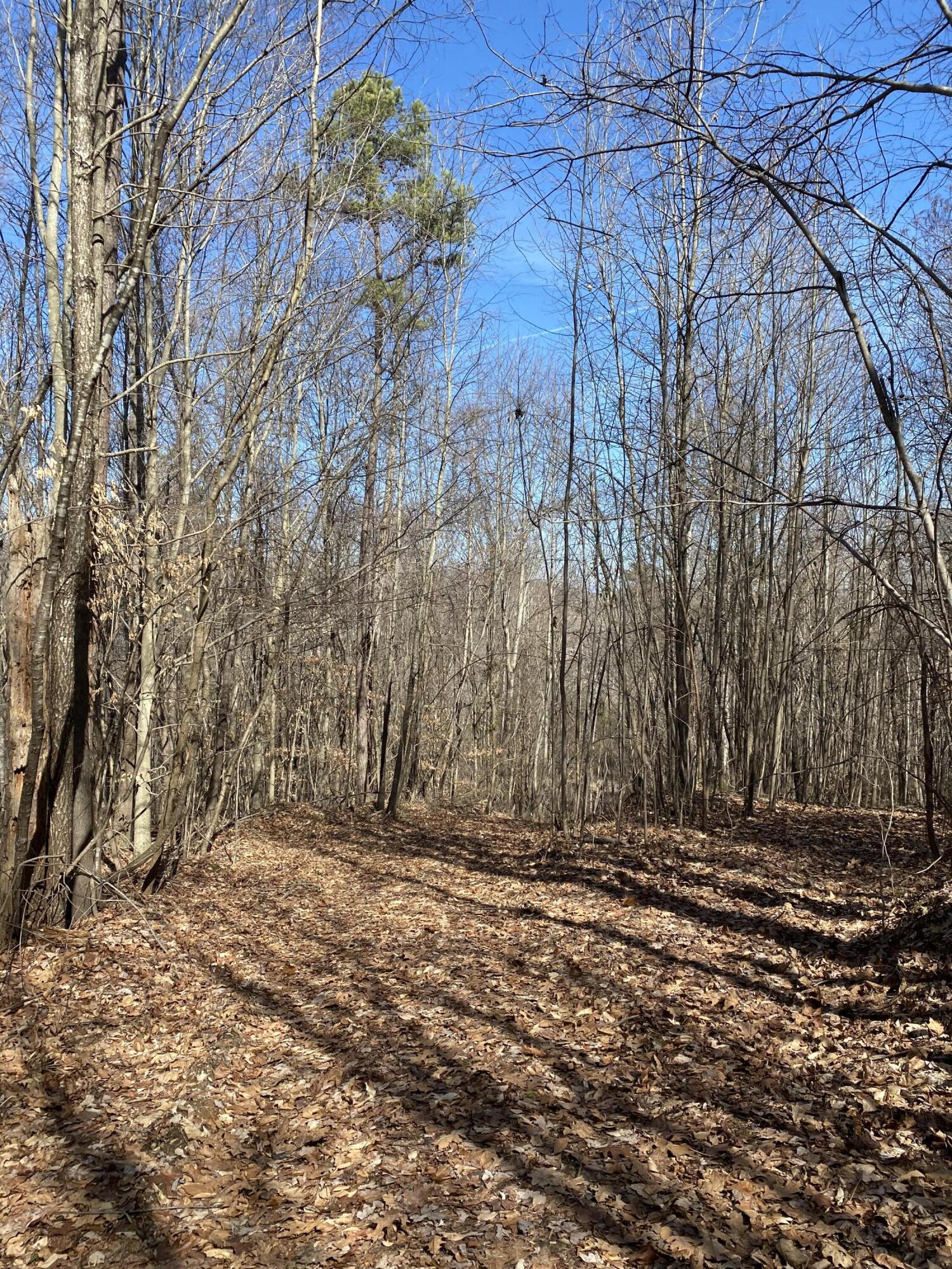 1185 Fordtown Road Jonesborough, TN 37659 - Photo 54 of 54 AA9307D4-13F7-4926-B9C9-1B7EB3227EDC
