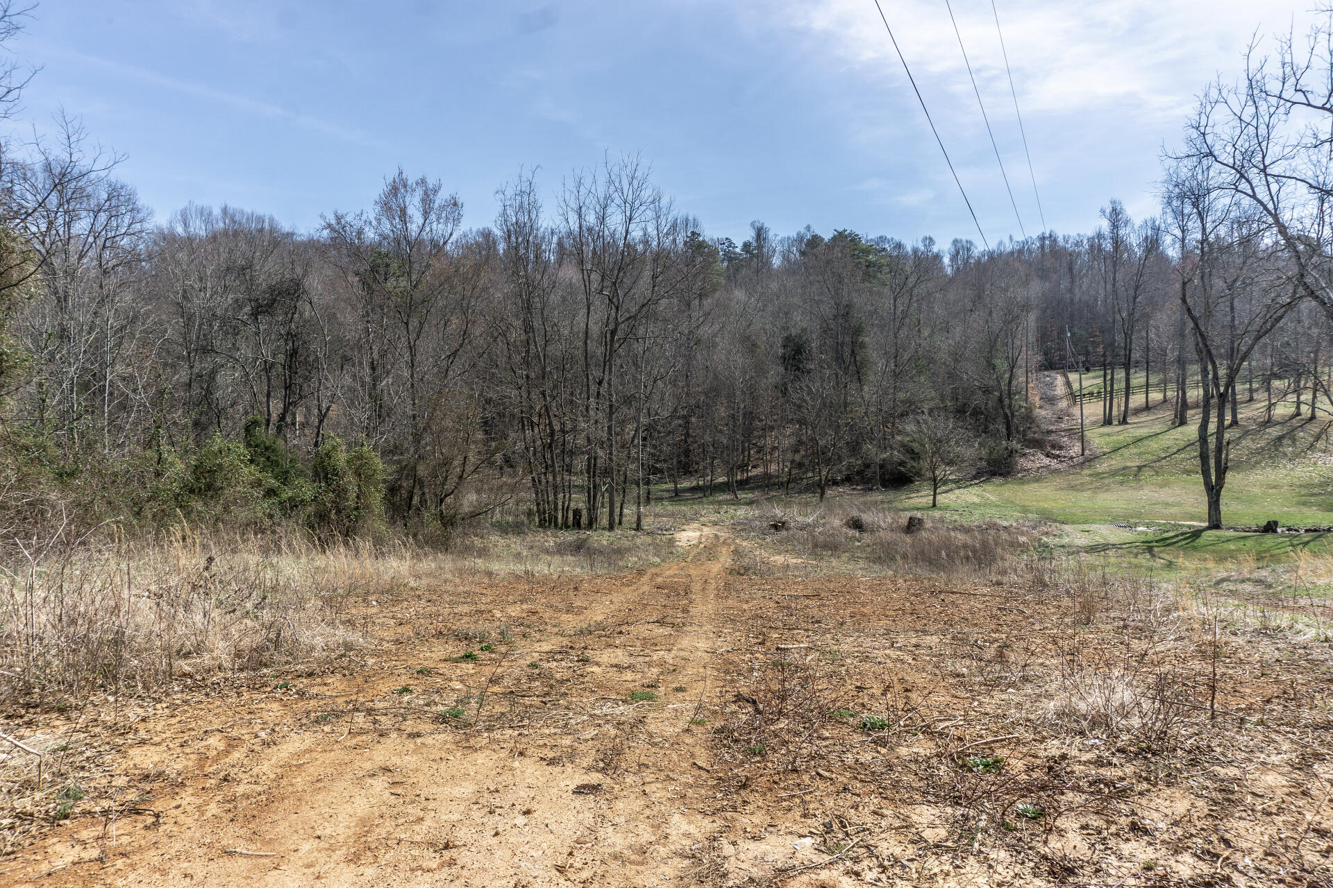 1185 Fordtown Road Jonesborough, TN 37659 - Photo 8 of 54 1185FordtownJ_004