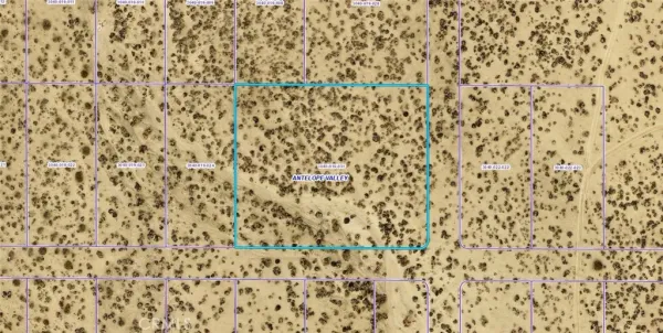 a bathroom with a shower curtain