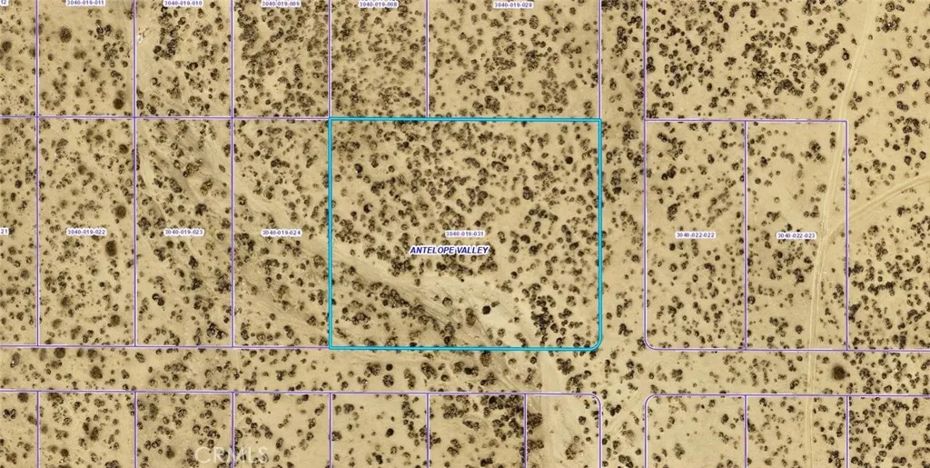 a bathroom with a shower curtain