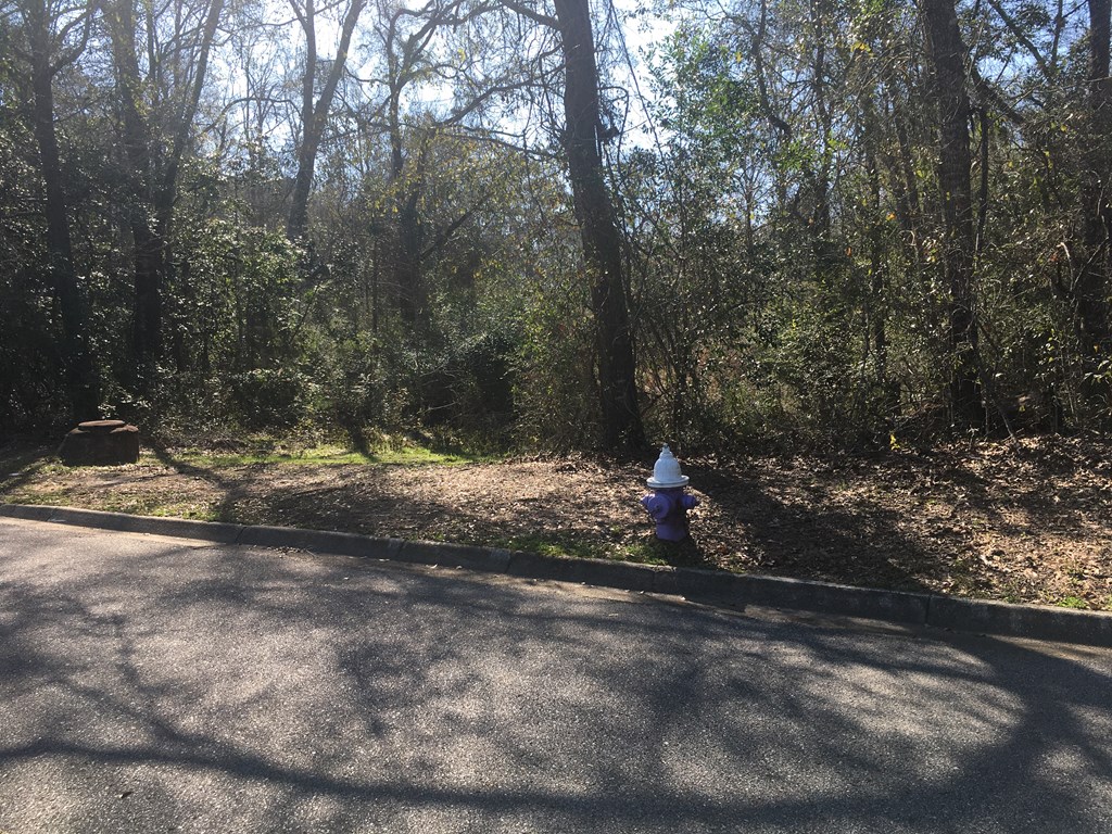 0 Rocky Branch Road Dothan, AL 36303 - Photo 6 of 7