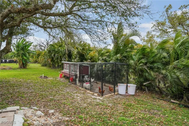 a view of a park with large trees