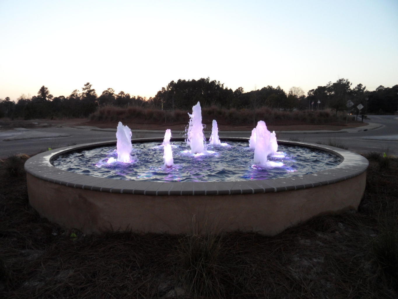 255 Cypress Marsh Road Moncks Corner, SC 29461 - Photo 24 of 24 Community Fountain
