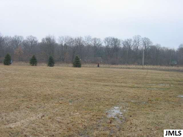 Vl West Berry Road Jackson, MI 49201 - Photo 1 of 1 Photo 1