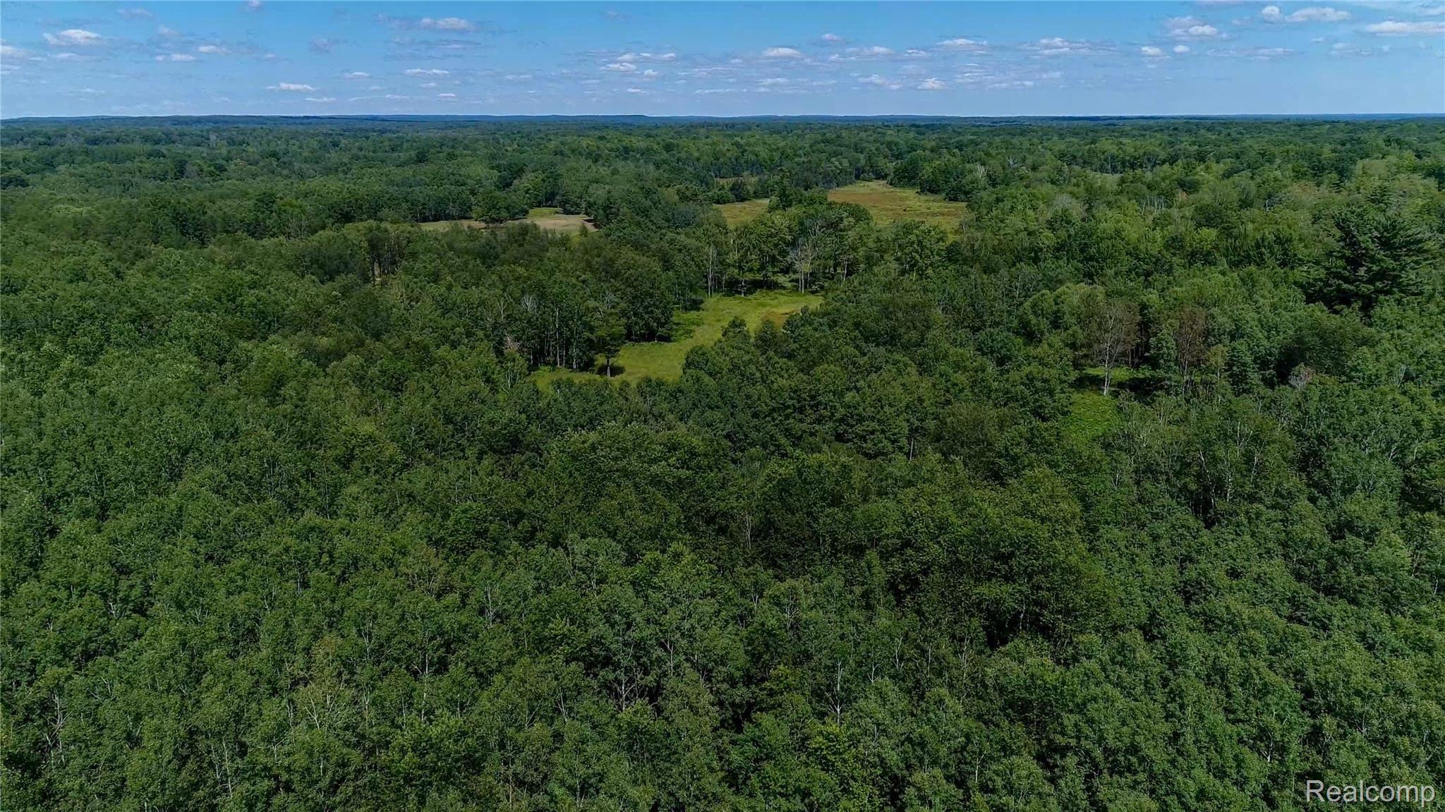 5181 Sargent Road Gladwin, MI 48624 - Photo 15 of 36 1.jpg