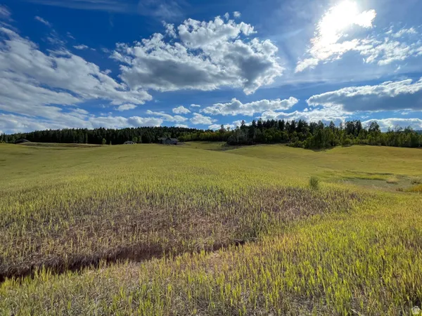 $179,900 | 46 Elk Watch Lane, Unit 46, Freedom, WY 83120