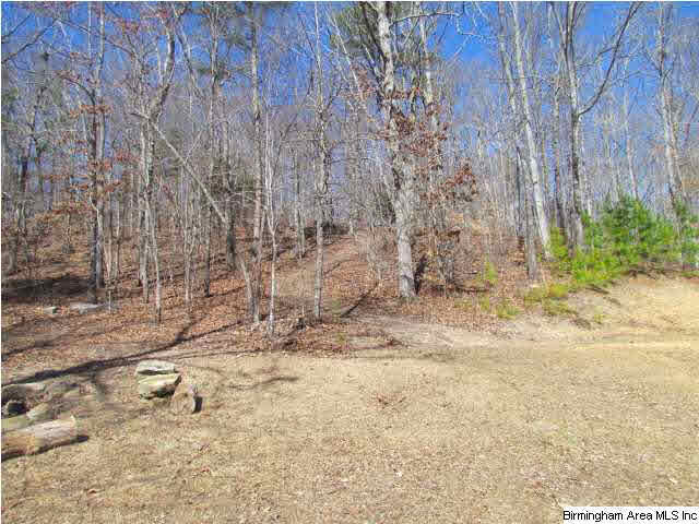 6920 Deer Haven Road Pinson, AL 35126 - Photo 28 of 30