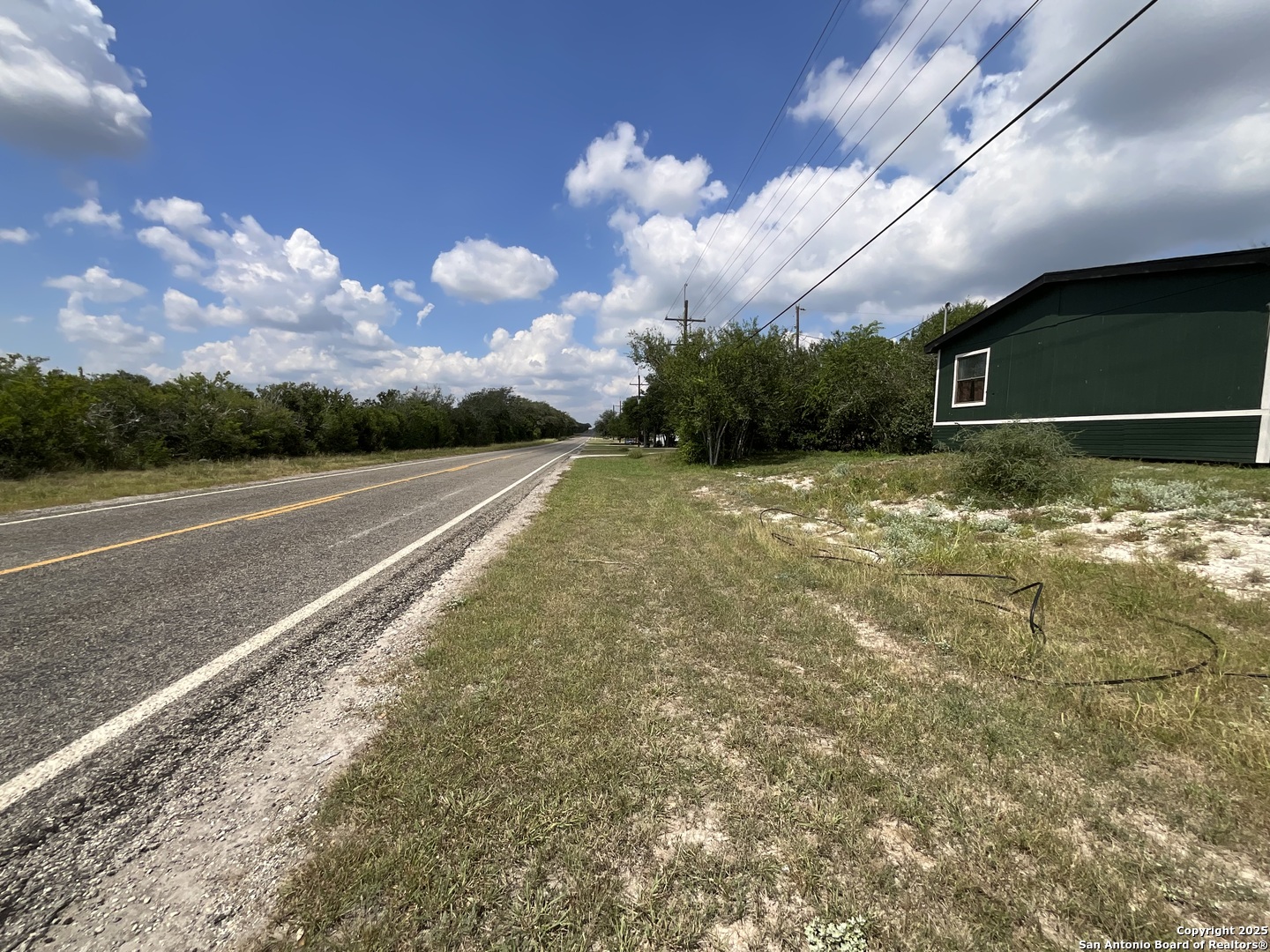 1 3rd Street Pettus, TX 78146 - Photo 6 of 16 a view of a yard with a large tree