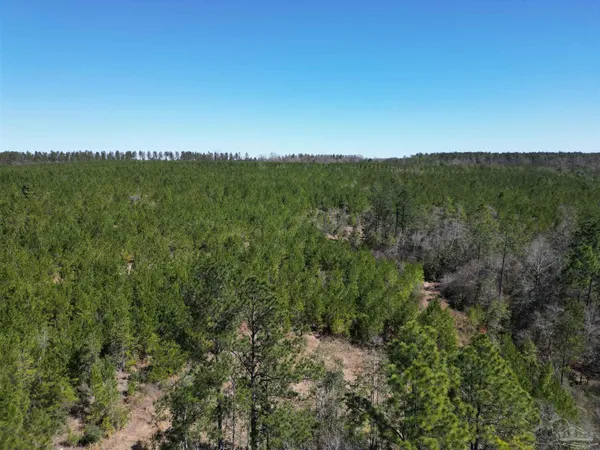 $212,500 | 8 Robinsonville Road, Atmore, AL 36502