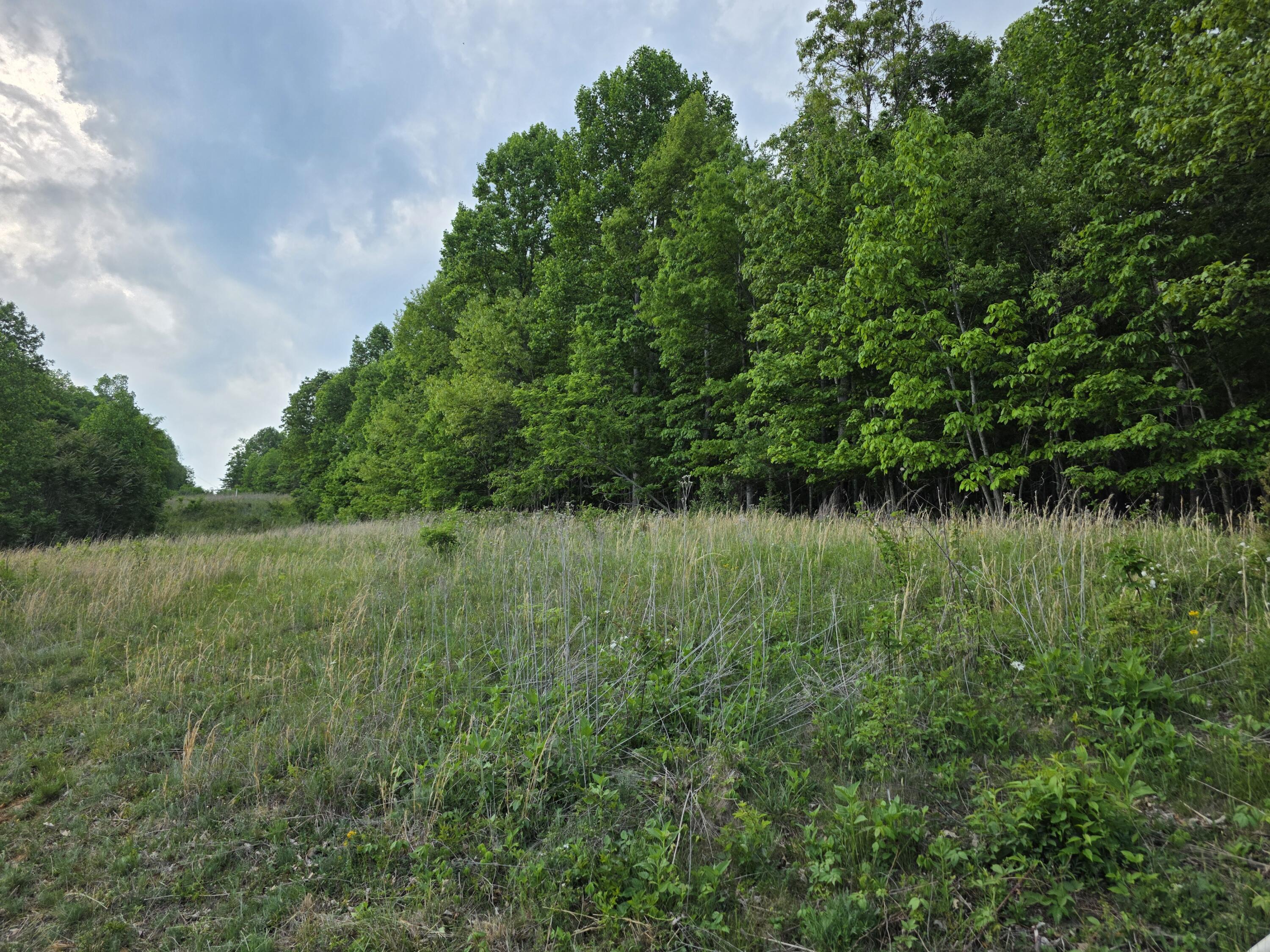 Tbd Bent Nail Road Hillsville, VA 24343 - Photo 16 of 16 a view of a lake from a yard