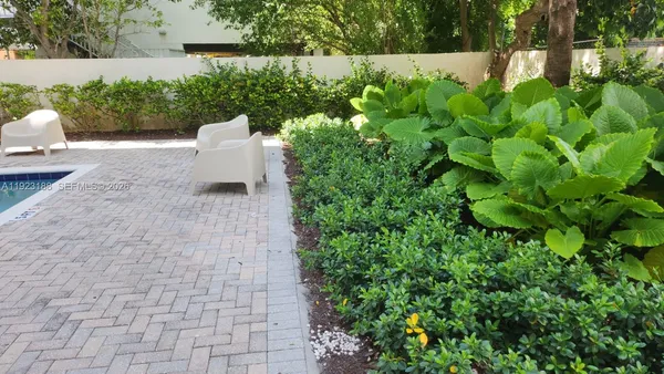 a picture of plants