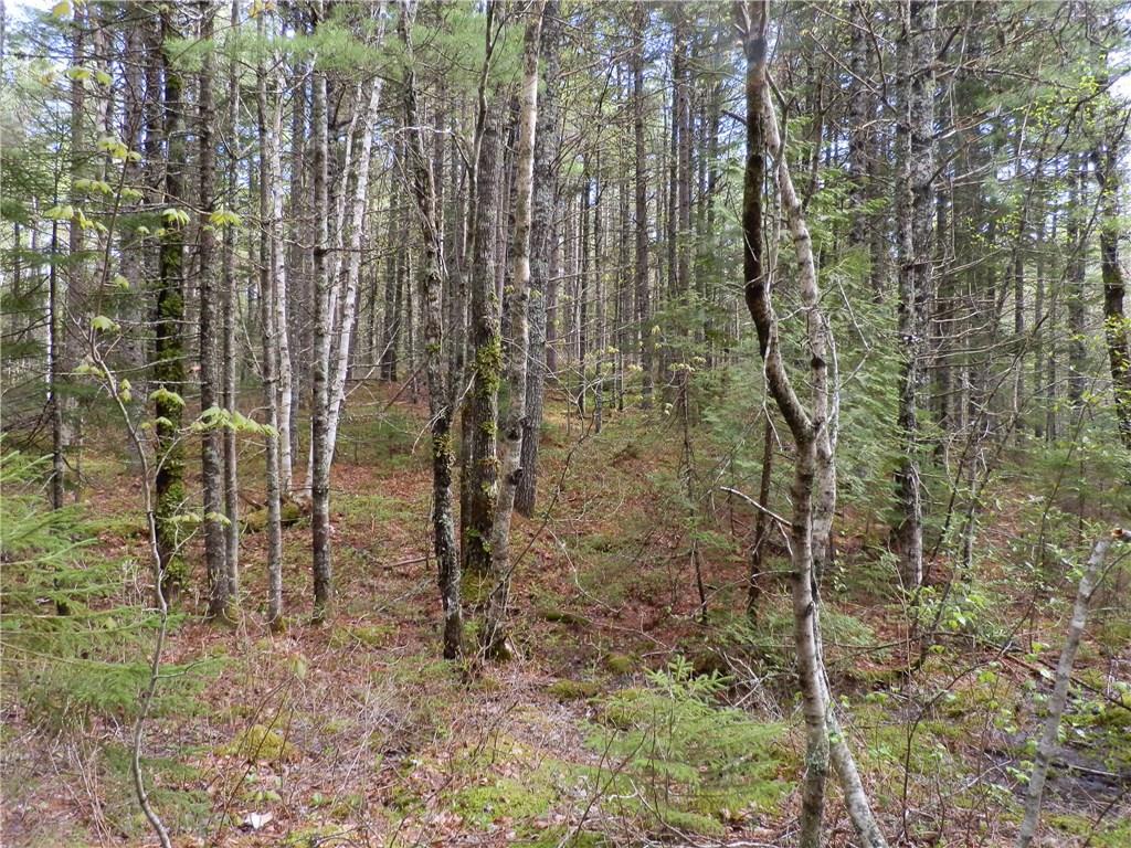 1426 Deer Haven Road Wesley, ME 04686 - Photo 11 of 24 Interior