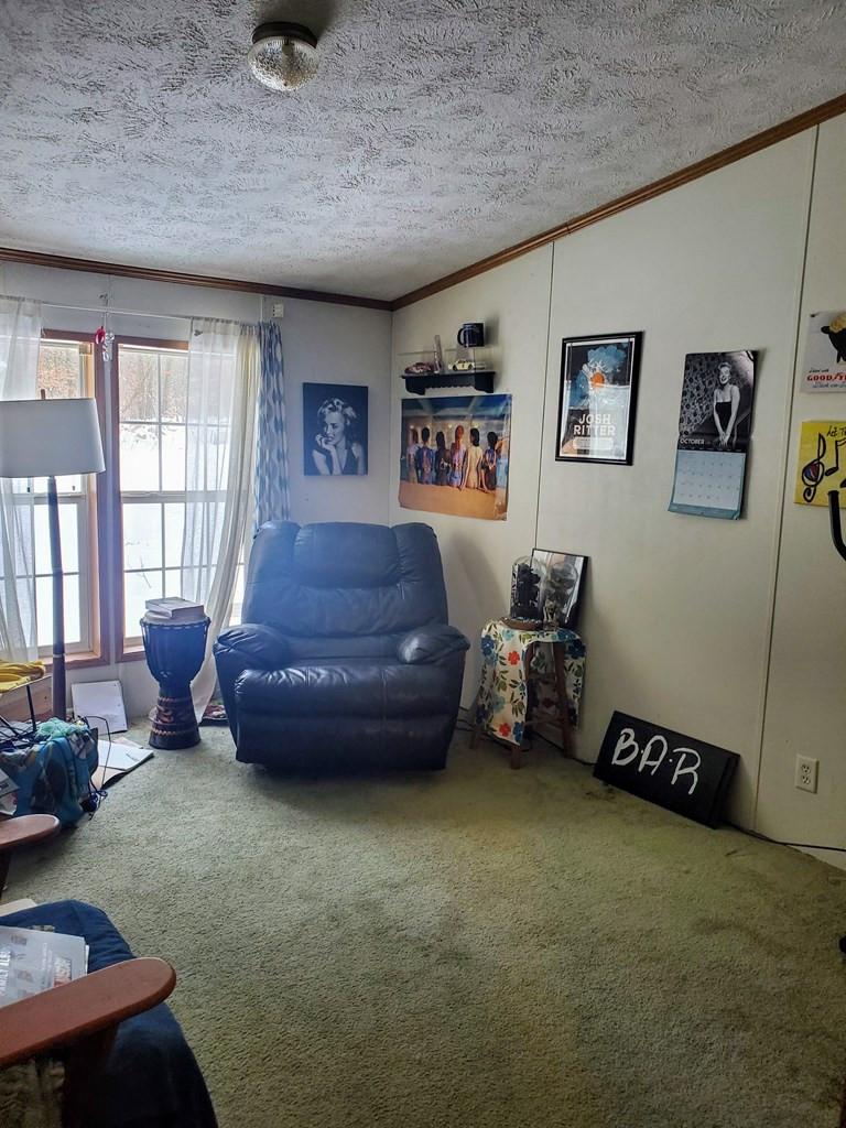 345-347 Allen Hill Road Peru, NY 12972 - Photo 7 of 27 Gallery Image 7