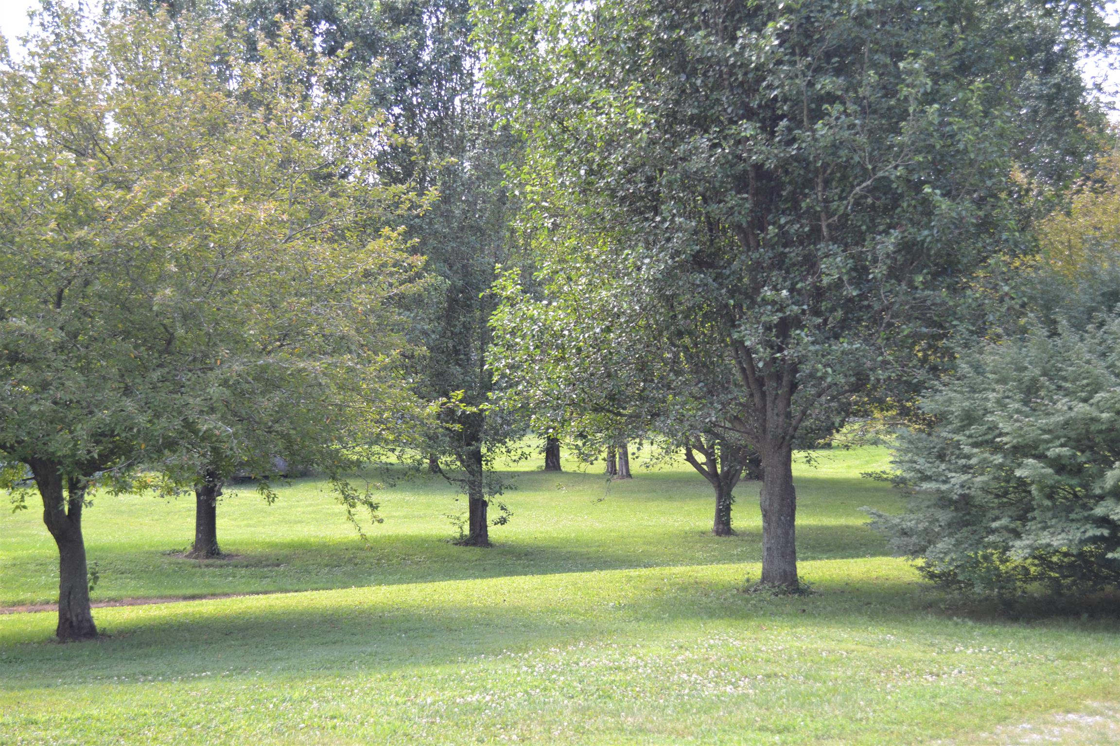 120 Rankin Road Hartsville, TN 37074 - Photo 4 of 20 MATURE TREES ON 5 BEAUTIFUL ACRES IN HARTSVILLE; ON MINUTES FROM LEBANON, GALLATIN OR NASHVILLE INTL AIRPORT