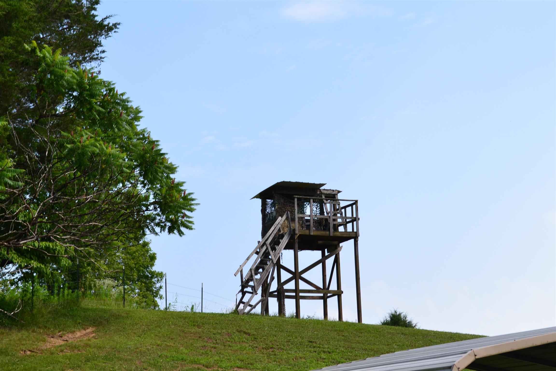 120 Rankin Road Hartsville, TN 37074 - Photo 6 of 20 HOME HAS DEER STAND IN LARGE BACKYARD; BEAUTIFUL SURROUNDINGS