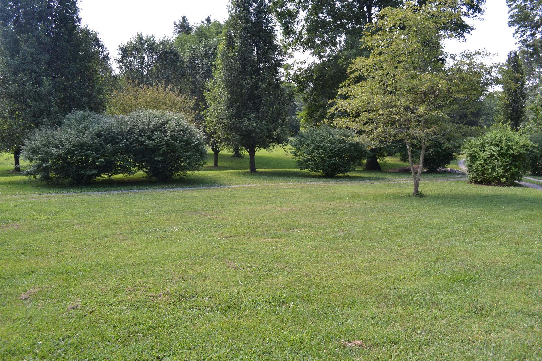 120 Rankin Road Hartsville, TN 37074 - Photo 8 of 20 BEAUTIFUL 5 ACRES SURROUNDED WITH MATURE TREES AND SECLUSION