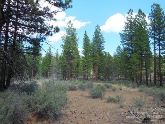 17785 Wilt Road Sisters, OR 97759 - Photo 12 of 25 a view of a forest with trees in the background
