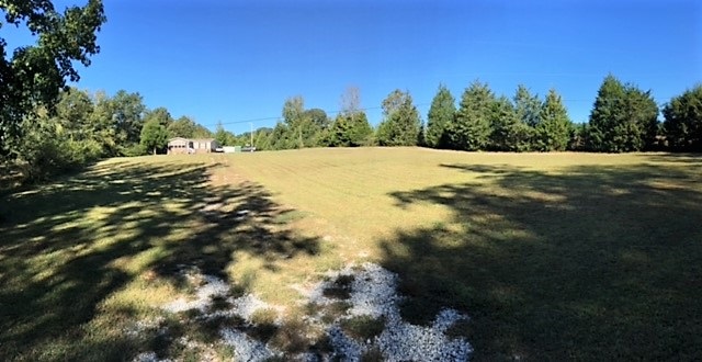 3527 Georgia Road Gray Court, SC 29645 - Photo 14 of 14