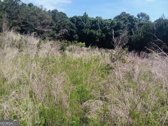 0 Pulliam Mill Road Dewy Rose, GA 30634 - Photo 11 of 13