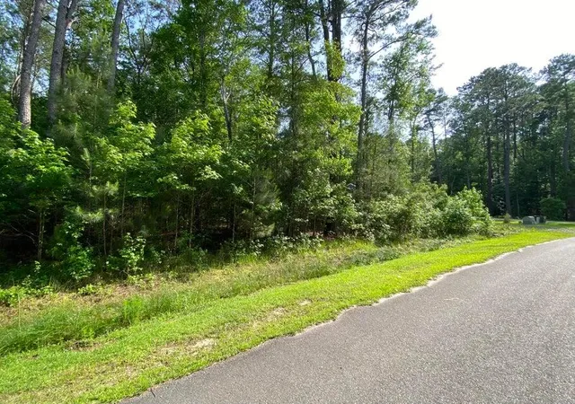 $175,000 | Lot 8 Buttonbush Drive, Ravenel, SC 29470