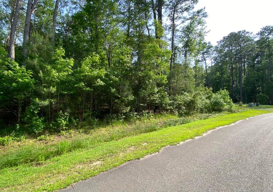 Lot 8 Buttonbush Drive Ravenel, SC 29470 - Photo 2 of 6 Lot 8 button Brush 6