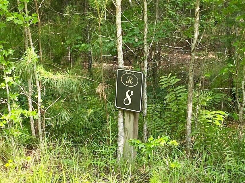 Lot 8 Buttonbush Drive Ravenel, SC 29470 - Photo 4 of 6 Lot 8 button brush 4