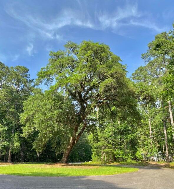 Lot 8 Buttonbush Drive Ravenel, SC 29470 - Photo 6 of 6 Lot 8 button brush 2