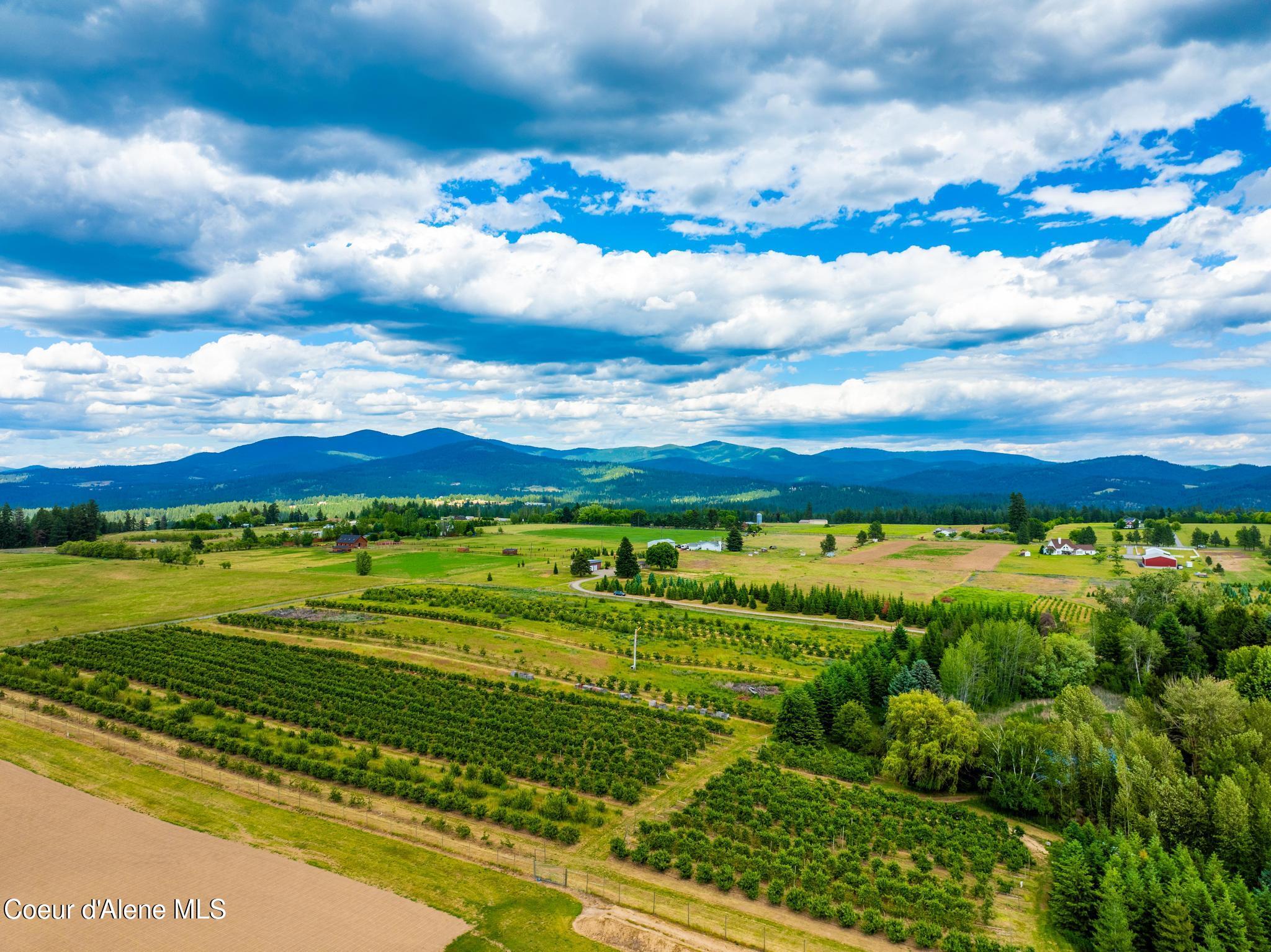 10215 East Day Mt Spokane Road Mead, WA 99021 - Photo 51 of 54 DJI_20260618062050_0402_D-HDR