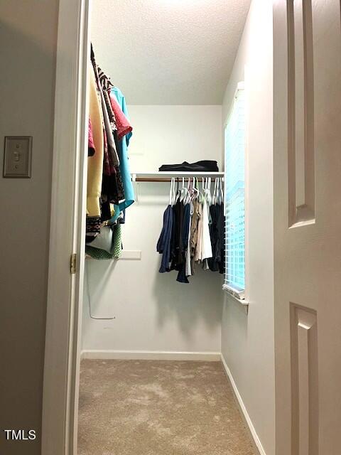 6309 Windy Ridge Court Raleigh, NC 27606 - Photo 26 of 53 a view of walk in closet with clothes and shoes
