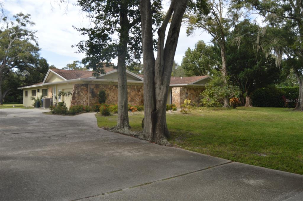 2111 Paddock Circle Dunedin, FL 34698 - Photo 3 of 7 a view of a house with yard and tree s