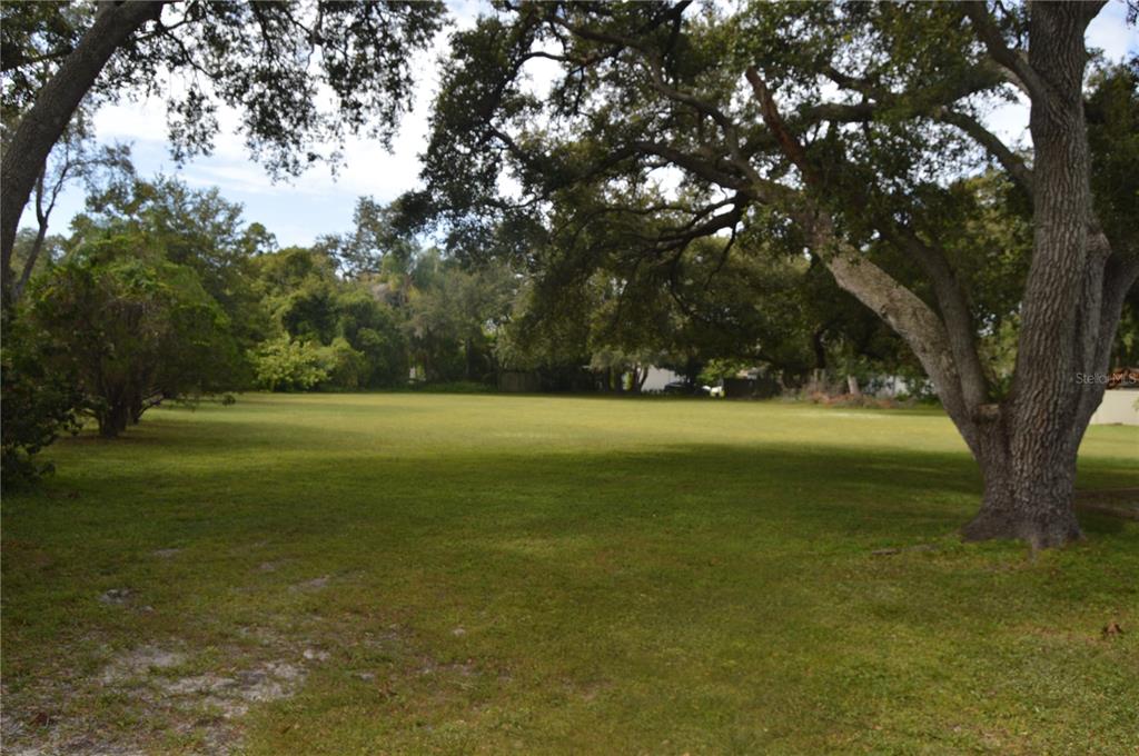 2111 Paddock Circle Dunedin, FL 34698 - Photo 5 of 7 a view of a yard with a tree