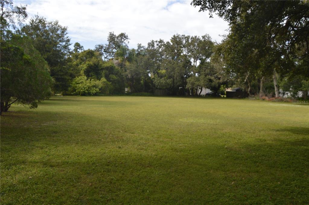 2111 Paddock Circle Dunedin, FL 34698 - Photo 6 of 7 a view of field and trees in the background