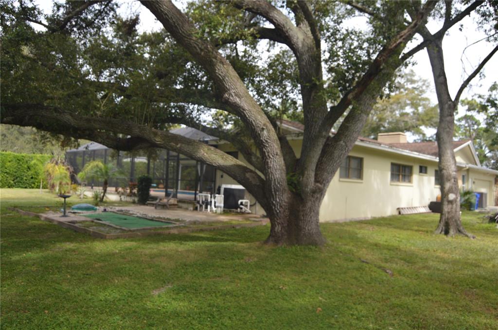 2111 Paddock Circle Dunedin, FL 34698 - Photo 7 of 7 a view of a house with back yard